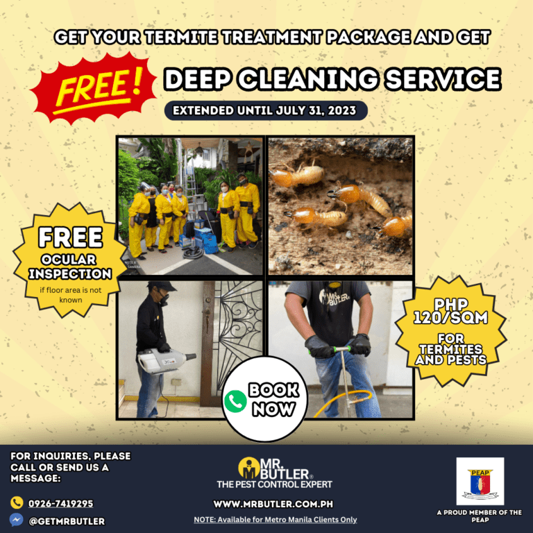 A poster for the termite treatment package with free deep cleaning service extension until july 31, 2023.