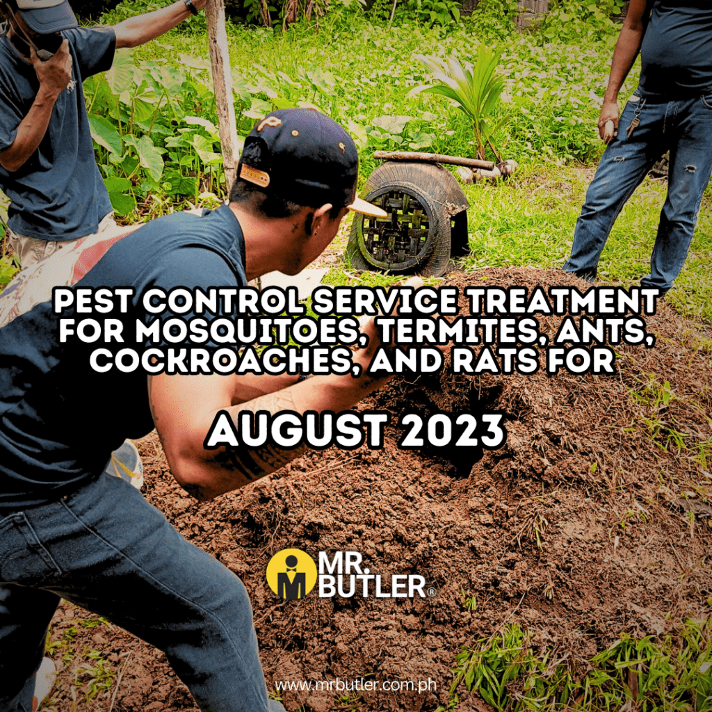 Pest Control Service treatment for mosquitoes, termites, ants, cockroaches, and rats for August 2023