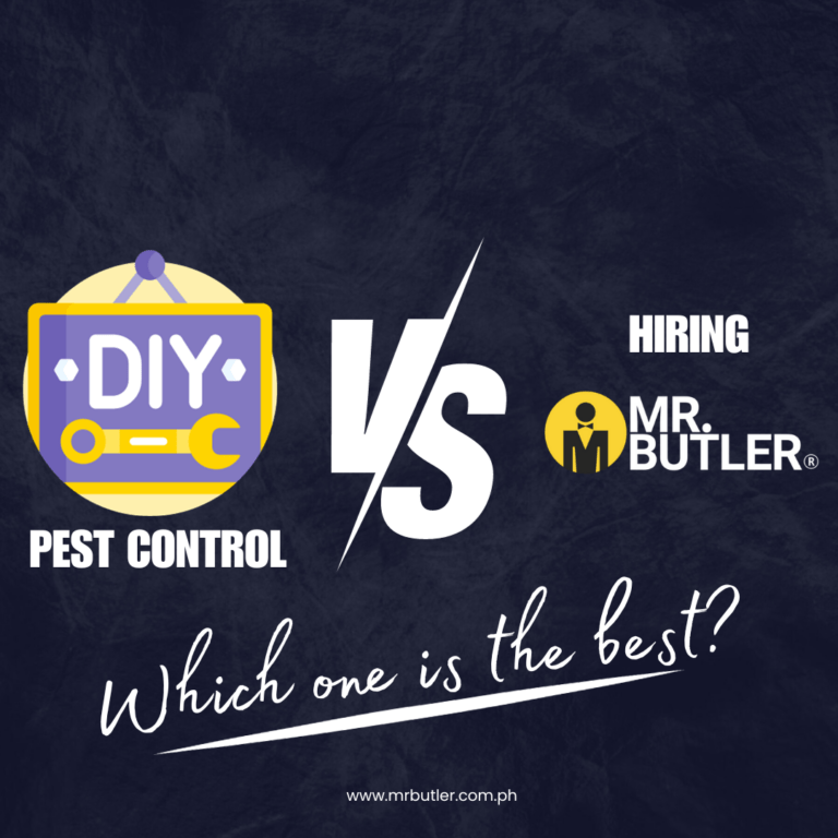 DIY Pest Control Vs. Hiring Mr. Butler